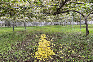 �V���C���}�X�J�b�g